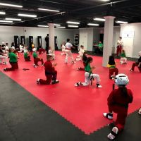 WAVERLY MARTIAL ARTS ico