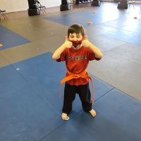 Vision Martial Arts ico