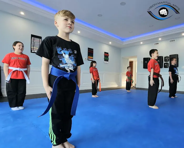 Vision Martial Arts Picture 2