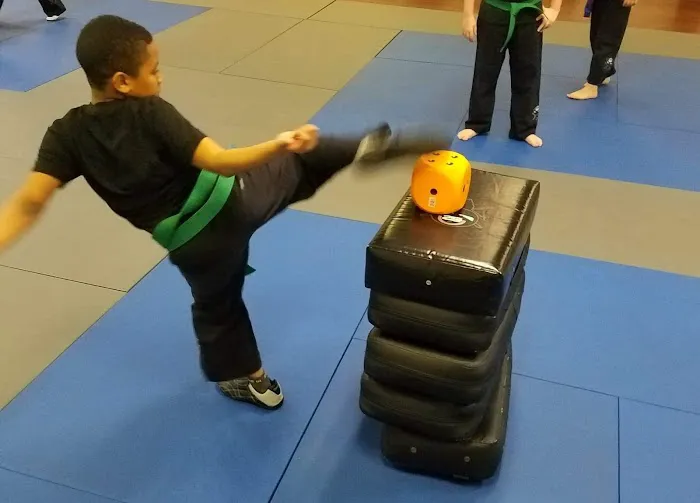 Vision Martial Arts Picture 8