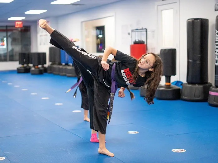 Bustos Martial Arts Picture 8