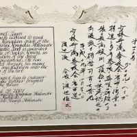 Island Budokan Martial Arts Academy ico