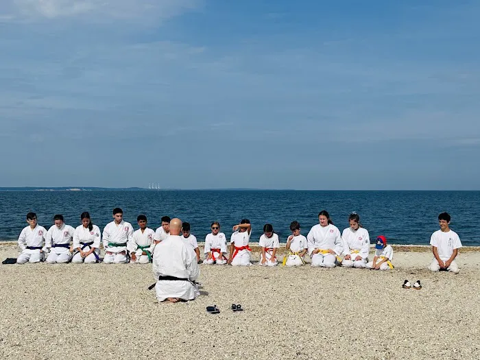 Island Budokan Martial Arts Academy Picture 2