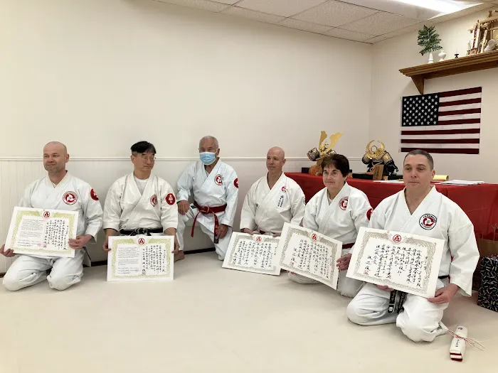 Island Budokan Martial Arts Academy Picture 5