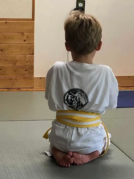 Island Budokan Martial Arts Academy Picture 8
