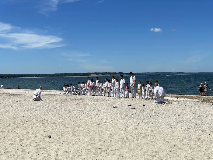 Island Budokan Martial Arts Academy Picture 4