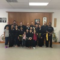 INTEGRATED MARTIAL ARTS CENTER ico