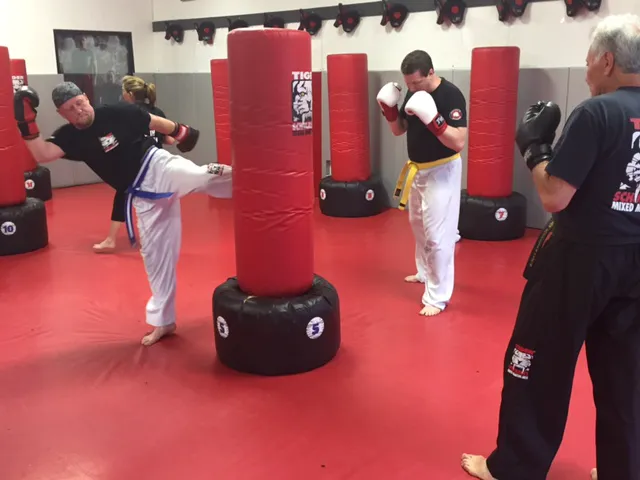 Tiger Schulmann's Martial Arts (Smithtown, NY) Picture 4