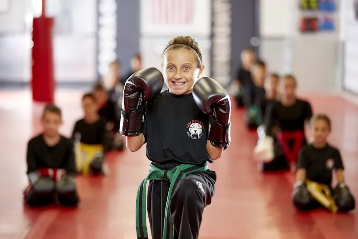 Tiger Schulmann's Martial Arts (Smithtown, NY) Picture 1