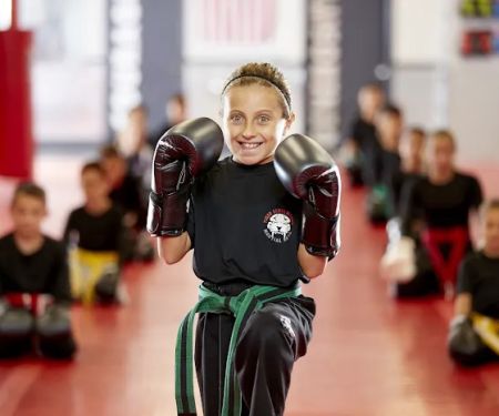 Tiger Schulmann's Martial Arts (Smithtown, NY)