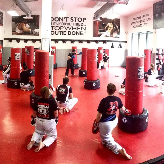 Tiger Schulmann's Martial Arts (Smithtown, NY) Picture 9