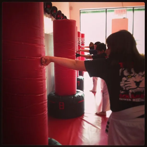 Tiger Schulmann's Martial Arts (Smithtown, NY) Picture 7
