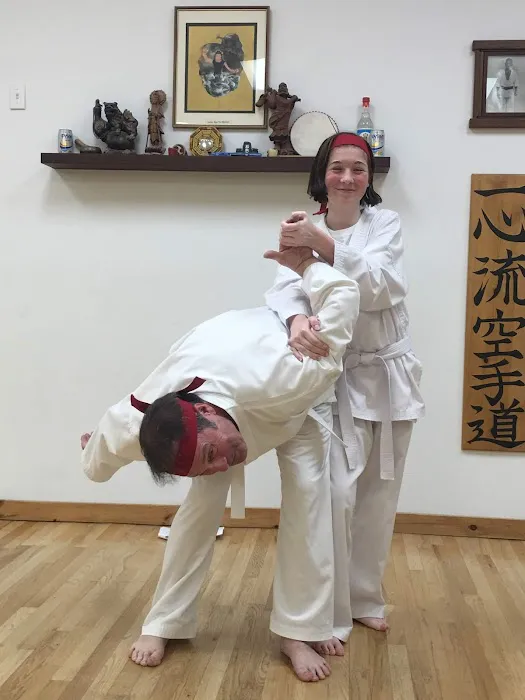 Traditional Okinawan Karate of East Fishkill Picture 2