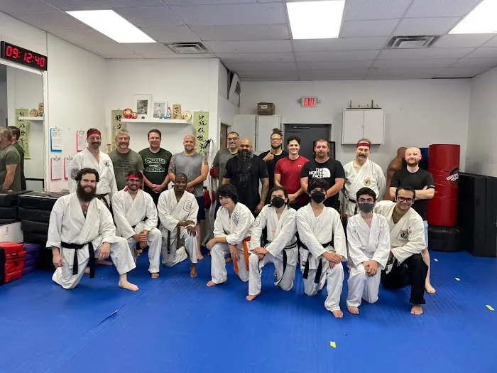Traditional Okinawan Karate of East Fishkill Picture 1