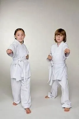 Medina Kenpo Karate Picture 4