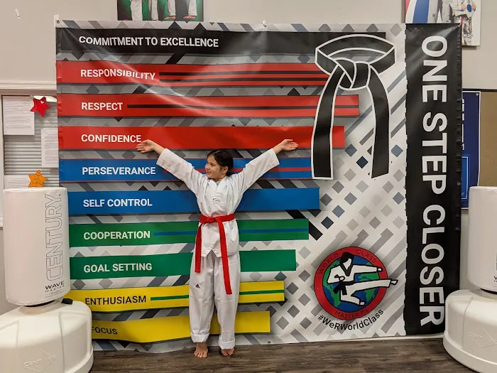 Master P's World Class Tae Kwon Do Picture 1