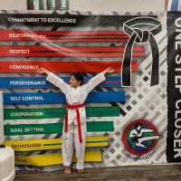Master P's World Class Tae Kwon Do ico