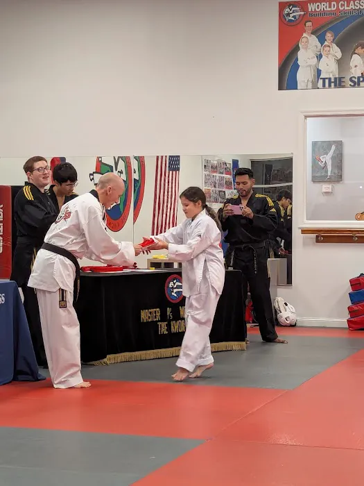 Master P's World Class Tae Kwon Do Picture 2