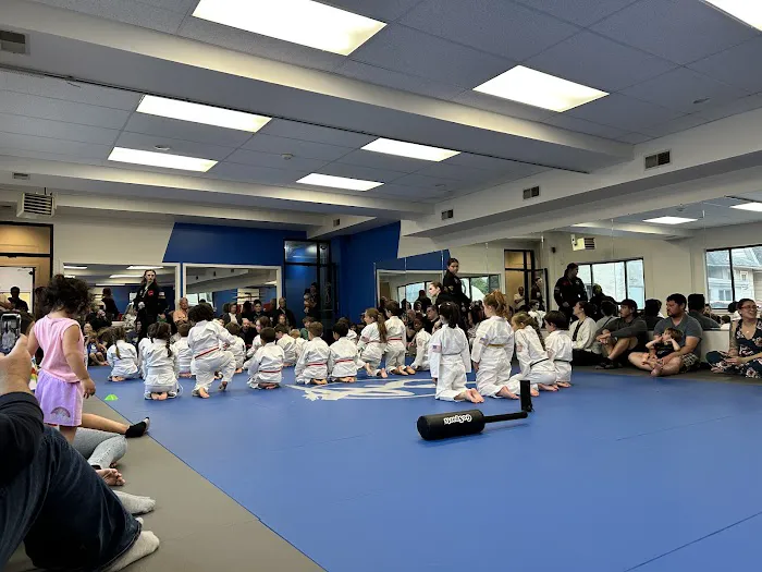 Bodyworks Karate Center Picture 2