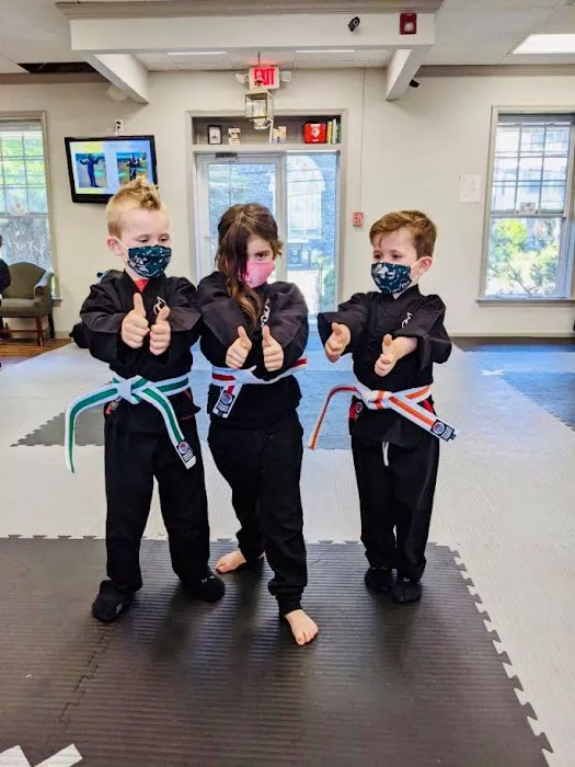 Action Karate Royersford-Collegeville Picture 1