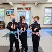 Action Karate Royersford-Collegeville ico
