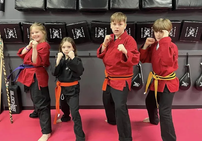 Action Karate Royersford-Collegeville Picture 5