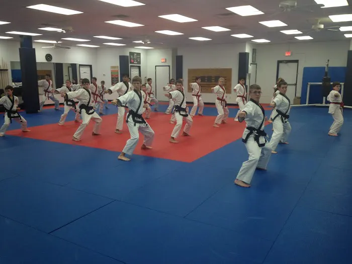 AmKor Karate Institutes Picture 2