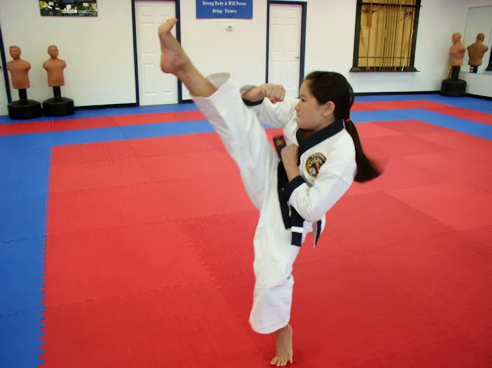 AmKor Karate Institutes Picture 3