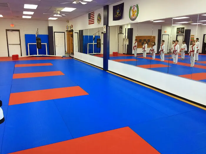 AmKor Karate Institutes Picture 4