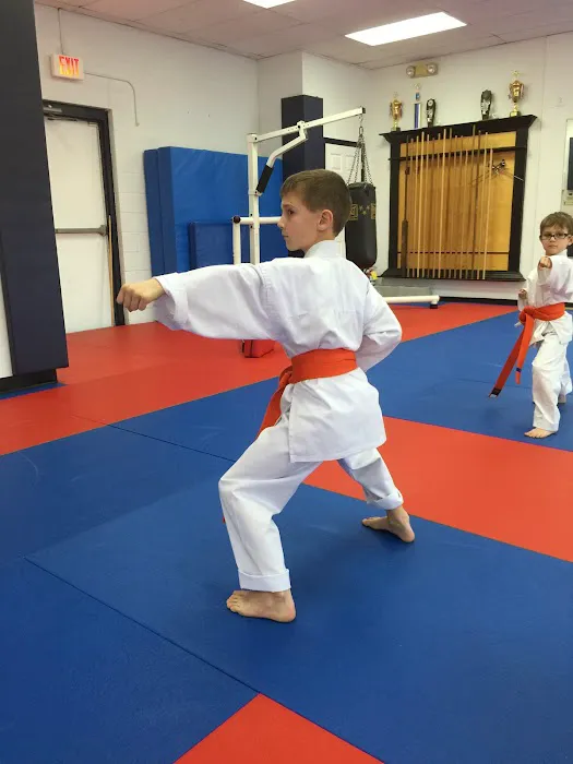 AmKor Karate Institutes Picture 8