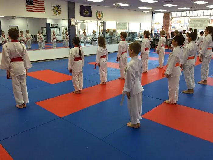 AmKor Karate Institutes Picture 7