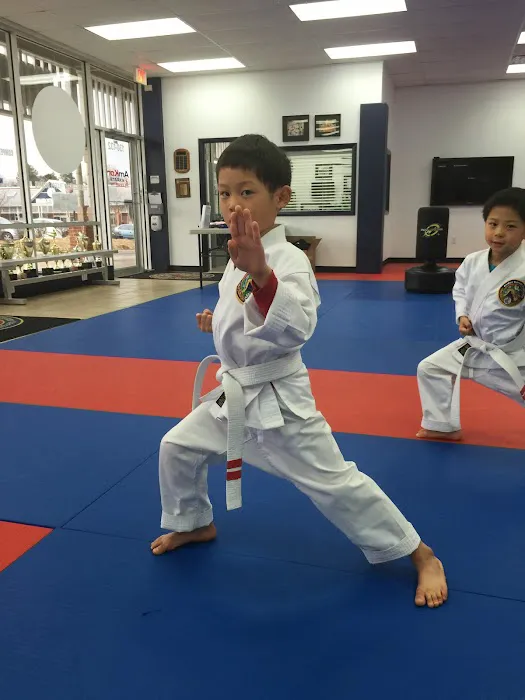 AmKor Karate Institutes Picture 5