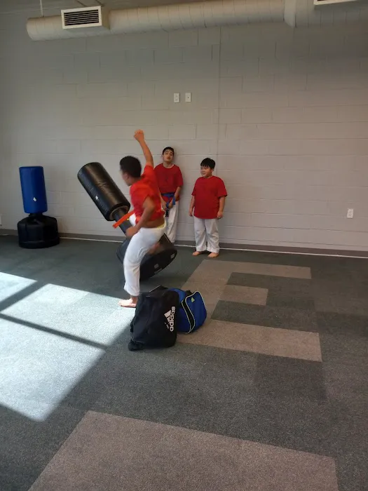 Iron Falcon Martial Arts Picture 1