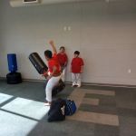Iron Falcon Martial Arts