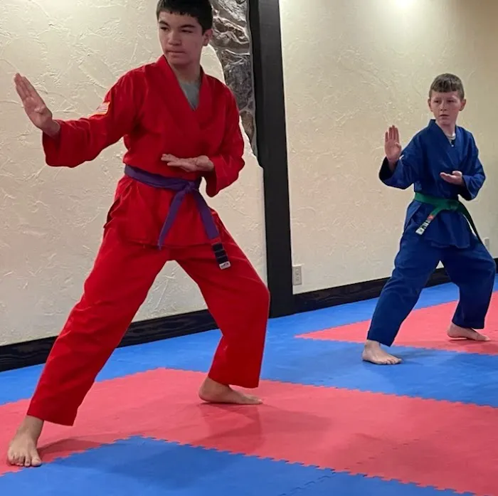 On Guard Martial Arts Picture 7