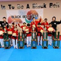 Master Son's Eagle Tae Kwon Do & Diet ico