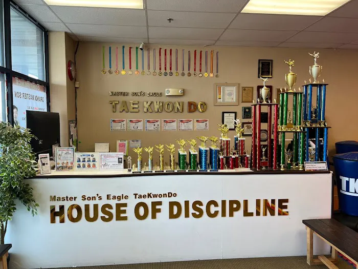 Master Son's Eagle Tae Kwon Do & Diet Picture 4