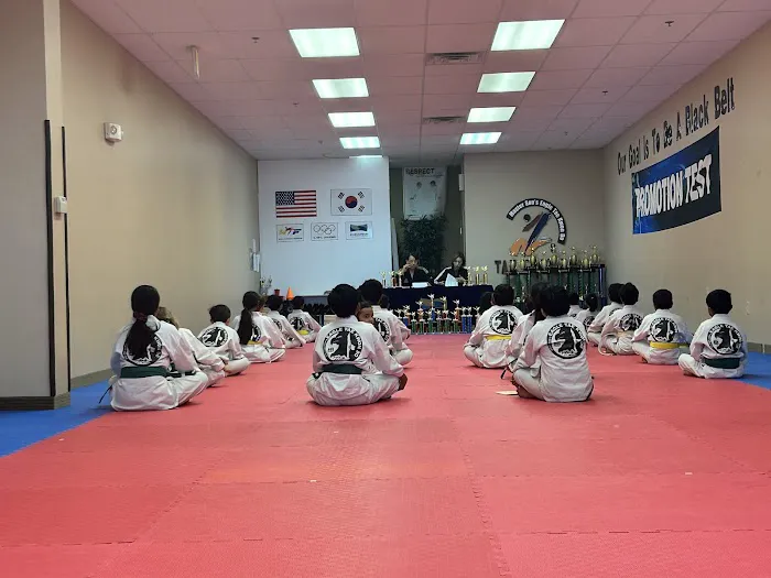 Master Son's Eagle Tae Kwon Do & Diet Picture 2