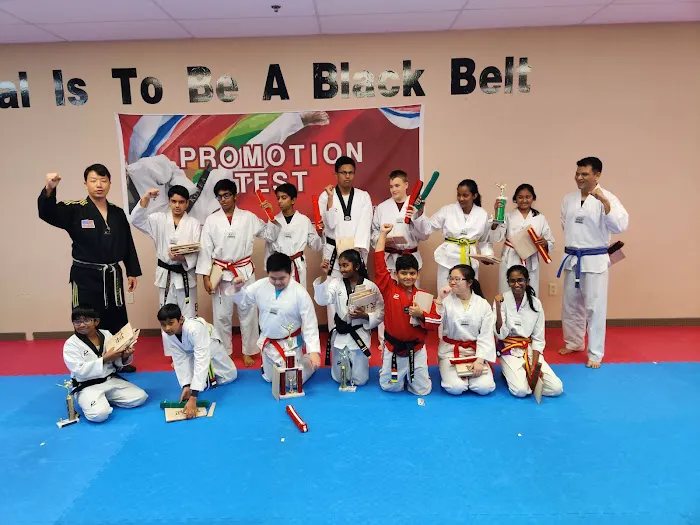 Master Son's Eagle Tae Kwon Do & Diet Picture 3