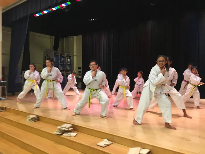 Master Son's Eagle Tae Kwon Do & Diet Picture 8