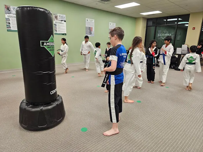 American Martial Arts Academy - Chester Springs, PA Picture 1