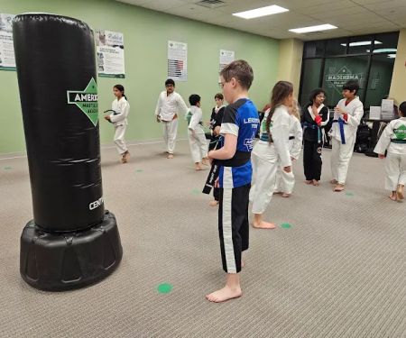 American Martial Arts Academy - Chester Springs, PA