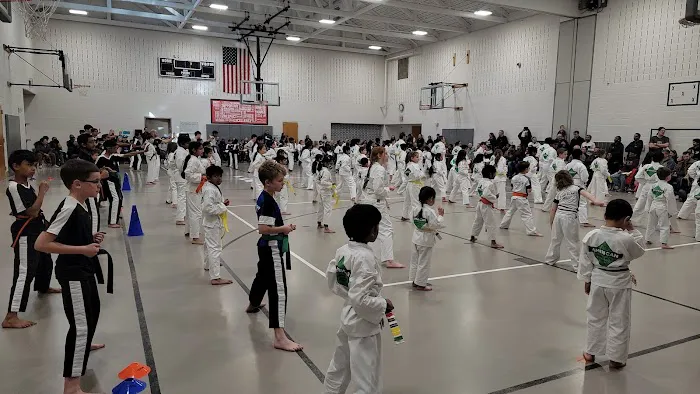American Martial Arts Academy - Chester Springs, PA Picture 6