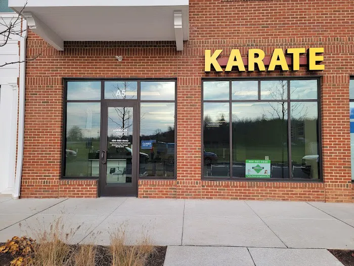 American Martial Arts Academy - Chester Springs, PA Picture 5