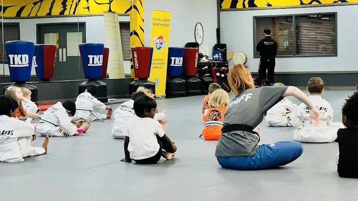Tiger Kicks Martial Arts Taekwondo Picture 2