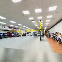 Tiger Kicks Martial Arts Taekwondo ico