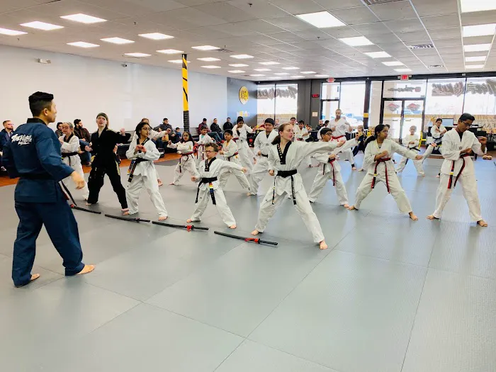 Tiger Kicks Martial Arts Taekwondo Picture 6