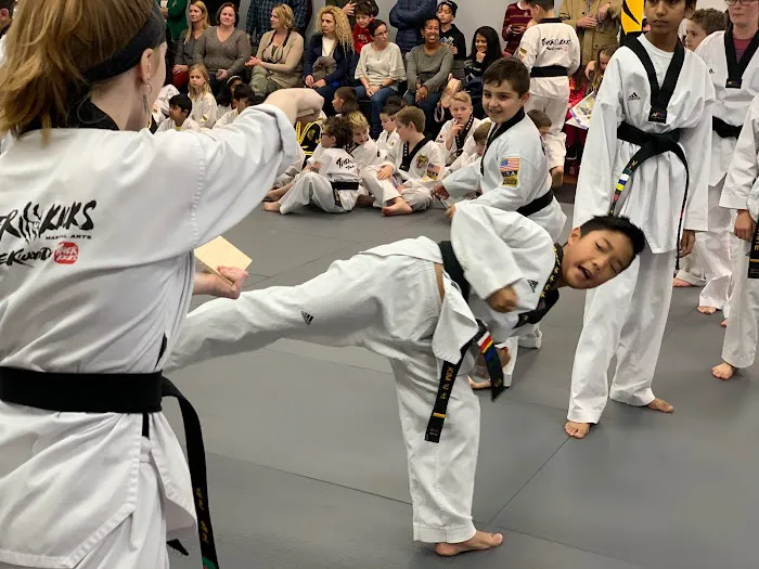 Tiger Kicks Martial Arts Taekwondo Picture 7