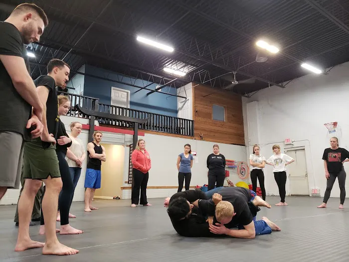 Dragon Gym Martial Arts & Fitness Picture 2