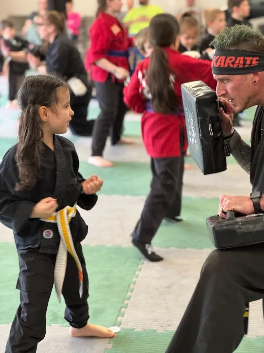 Action Karate Phoenixville Picture 3